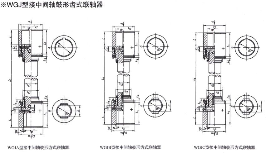 WGJ型接中間軸鼓形齒式聯(lián)軸器